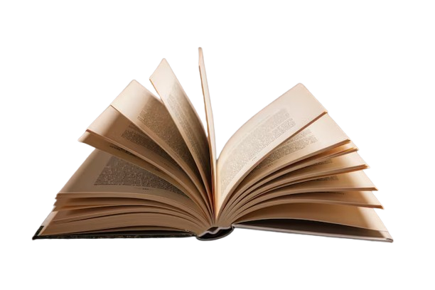 Identidade visual Hágora